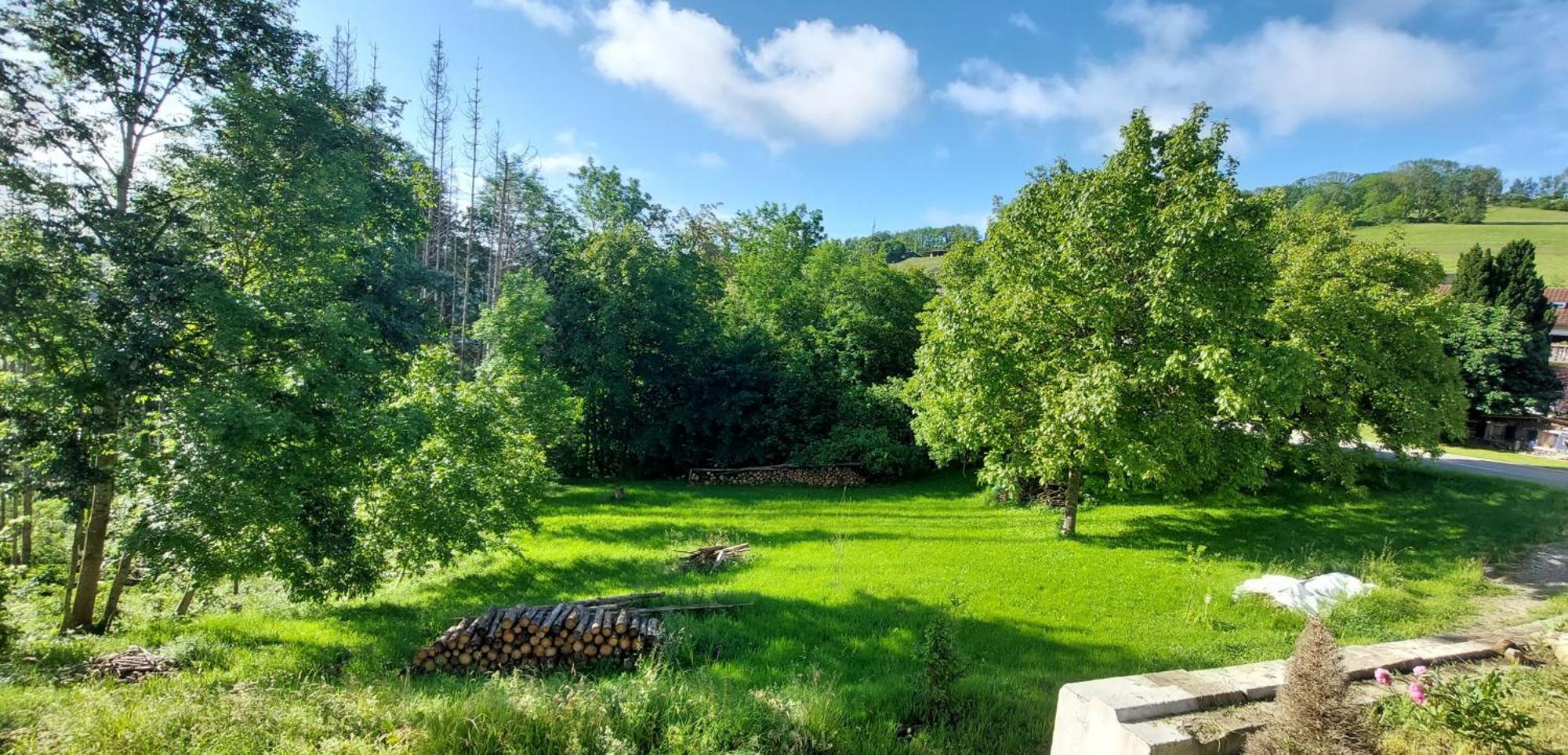 Fewo Bukowina Waldshut-Tiengen Buitenkant foto